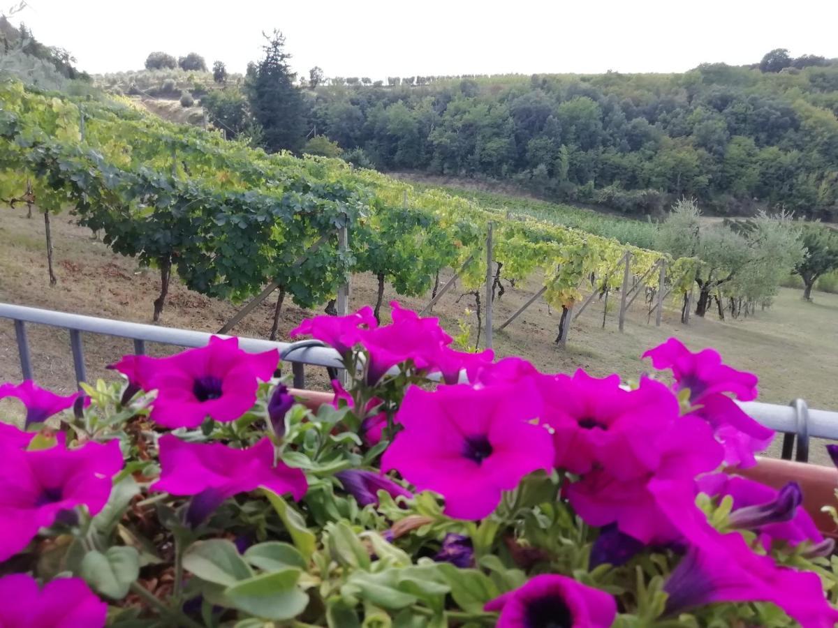 포지본시 Poggio Massiccioli 아파트 외부 사진